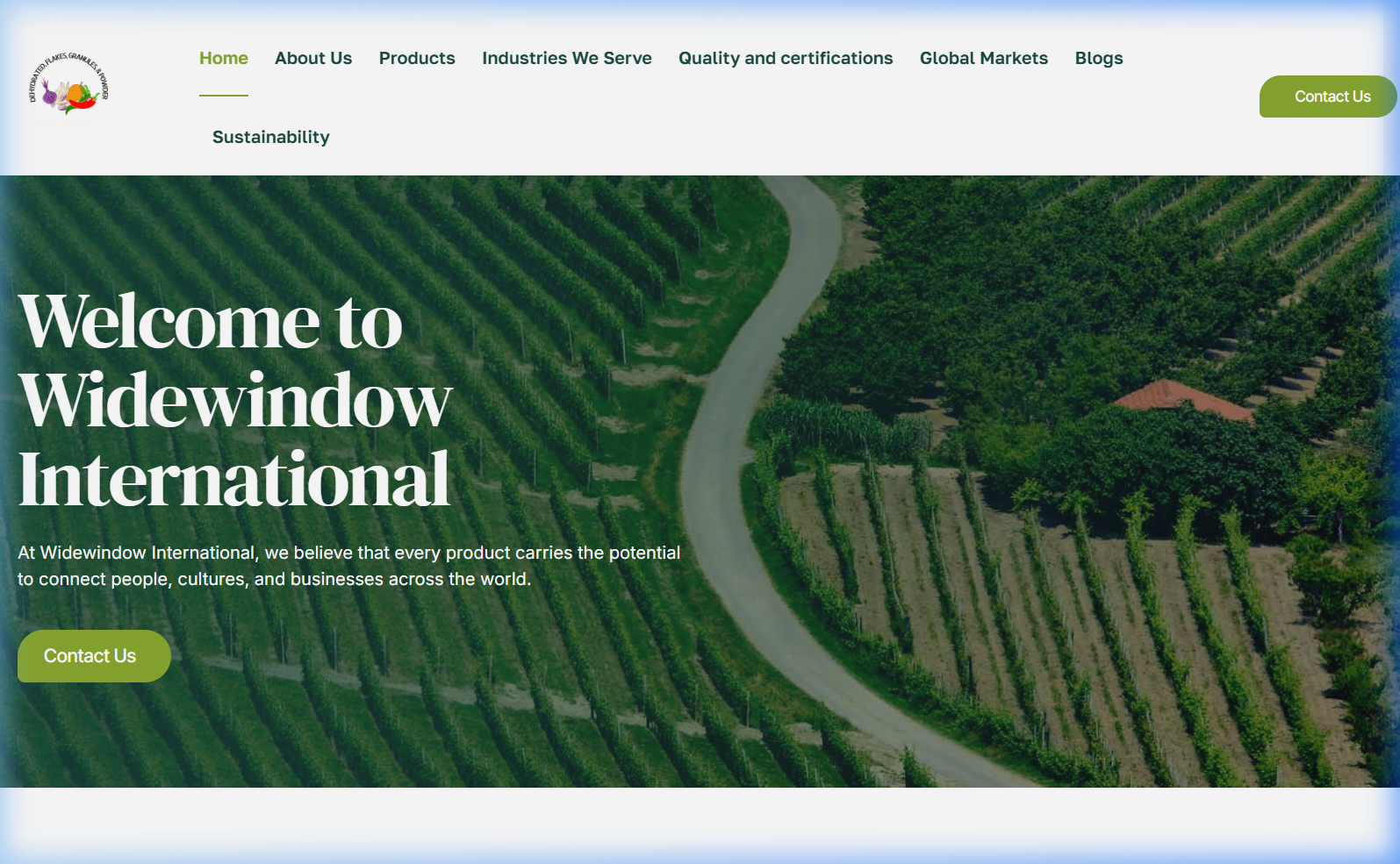 Widewindow International Live